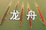 赛龙舟说明文(精选85篇)