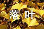 关于《“落叶”是值得赞美的》的征文