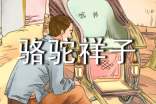 2020老舍《骆驼祥子》读后感