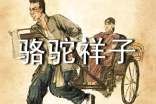 老舍骆驼祥子汇总(15篇)