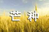 关于芒种的文案6篇