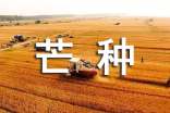芒种时节文案