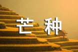 关于芒种的文案(9篇)