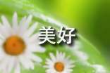 遇见最美好的自己作文（精选3篇）