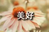 512减轻灾害风险守护美好家园主题活动总结（通用15篇）
