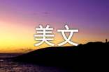 潮湿的心经典美文