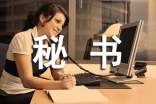 秘书处个人工作总结