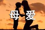 关于母爱的优美段落