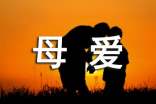 描写母爱的优美段落汇编5篇