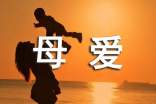 赞美母爱的句子