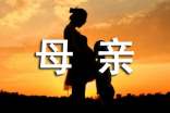 《老舍先生忆母亲》小学读后感