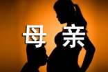 我的母亲老舍教案（精选10篇）