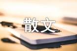 情感类散文