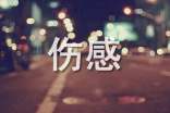伤感经典的句子精选