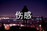 关于十一月再见，十二月你好伤感句子（精选55句）