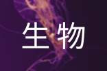 高三生物的工作总结（精选15篇）