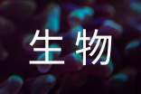 初一学生生物期末总结与反思（精选8篇）