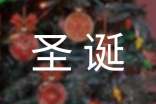 2024年圣诞节温馨英文祝福语(精选390句)