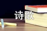 诗歌的魅力作文