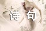 关于杨万里的古代诗句100句