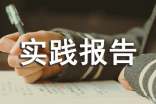 最新暑假社会实践报告（精选35篇）