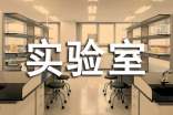 实验室年度个人总结
