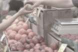市场营销自我鉴定范文集合