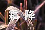 霜降经典句子