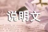 实用的事物说明文作文集合六篇