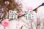 踏春作文800字