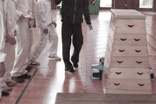 精选小学五年级体育教学工作总结3篇