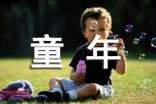 观察蚂蚁的童年趣事的作文（精选43篇）