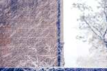 观察下雪的作文400字（精选53篇）