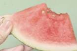 夏日的文案15篇