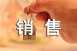 销售个人工作总结（精选21篇）