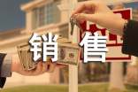 销售员试用期工作总结通用
