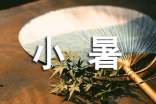 关于小暑的文案