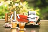 小暑温情文案大全