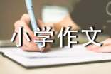 游花果山小学作文