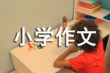 【精华】介绍自己的小学作文合集八篇