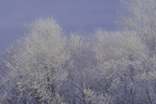 关于小雪节气的文案集锦