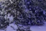 小雪文案干净治愈
