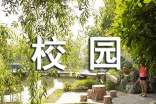 校园安全作文(精选50篇)