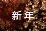 银行新年对联[优秀]