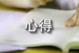 审计实训心得