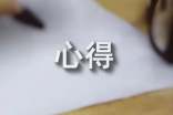 课例研修心得