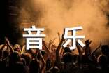 初中教学音乐工作总结