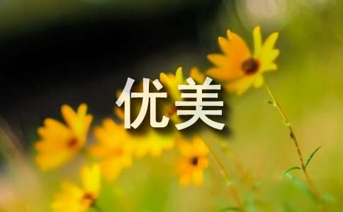 放弃的优美句子（精选50句）