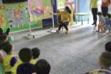 新入职幼儿园教师个人工作总结