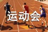 幼儿园亲子运动会新闻稿范文(通用18篇)